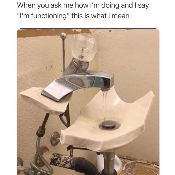 Meet your Posher, Cody - Picture 1 of 1